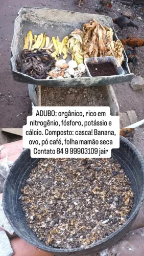 Abudo orgânico composto por casca de ovos, casca de banana e folha de mamão seca. 