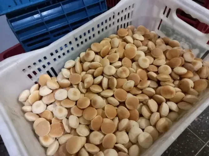 Vendo Máquina Laminadora de Biscoitos