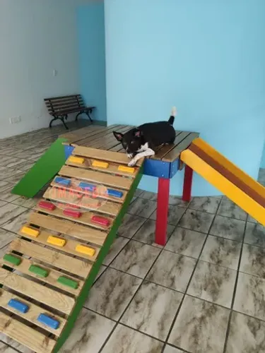 Pet place, área pet 