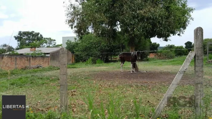 Terreno com 1.000m² , dimensões de 20x50,