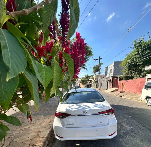 Corolla xei com apenas 18 mil km