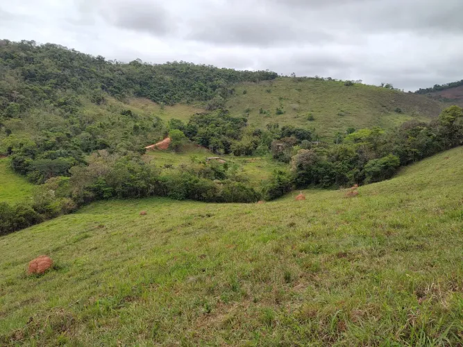 Vende-se terreno a 5km do centro de Lima Duarte 