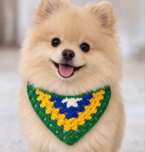Bandana Brasil para Pets - Crochê