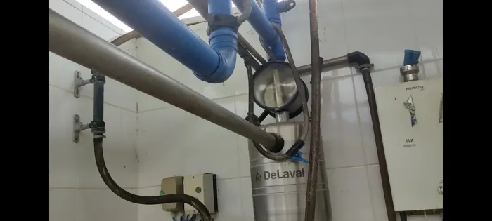 Ordenhadeira DeLaval canalizada 