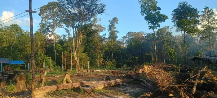 Terreno 15x40m