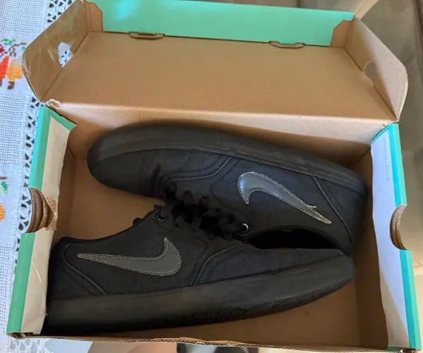 Nike SB