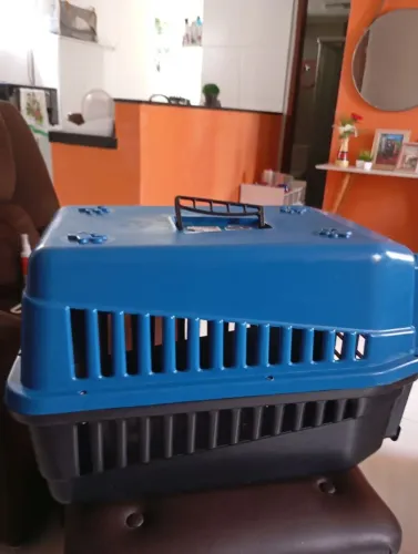 Caixa de transporte para cães