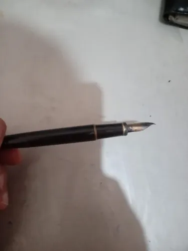 Caneta pena