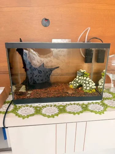Aquário 20L
