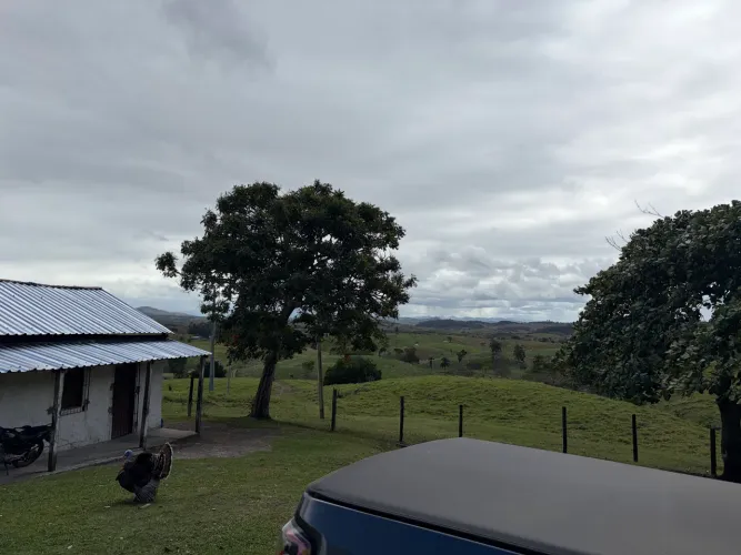 Procuro terra para pecuária