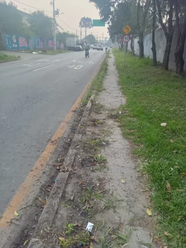 Limpeza de terreno e roçada