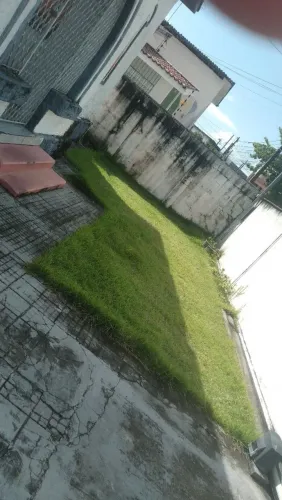 Limpeza em geral