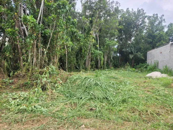 Terreno a 600 metros da paia
