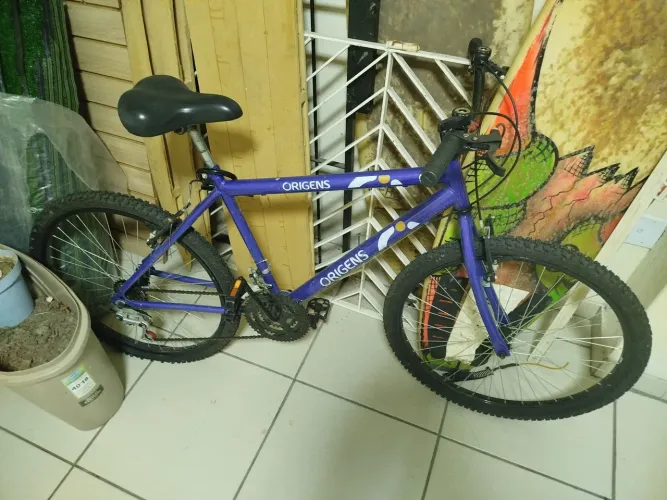 Bicicleta de marcha