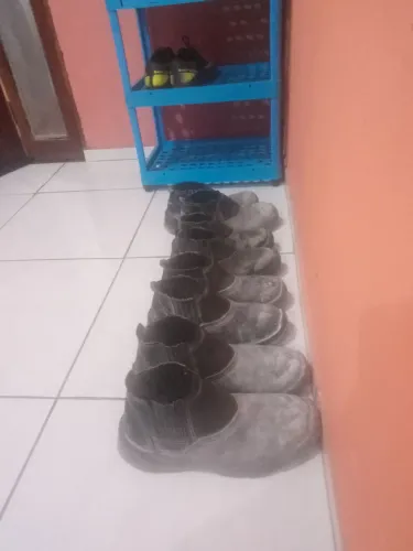 Botas