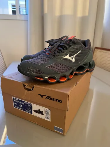 Mizuno prophecy 13S