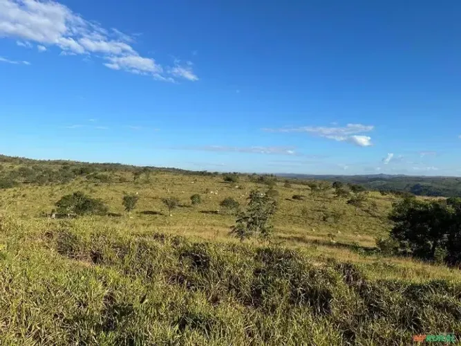 FAZENDA EM PARACATU - 1.160 HECTARES