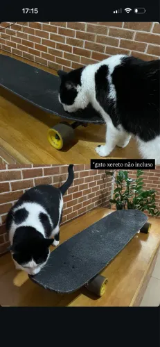 Long board downhill