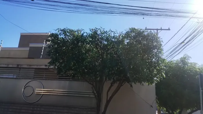Roçamos seu lote ,podamos sua árvore e limpamos seu quintal