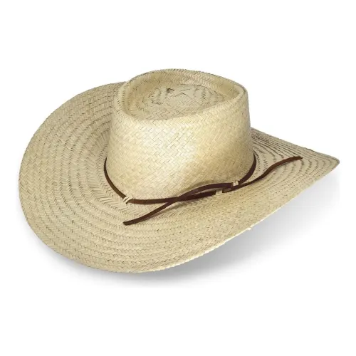 10 camisetas+chapéu mexicano+chapéu cowboy+ Tênis