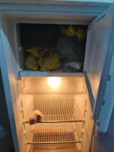 Geladeira 439 Litros Seminova