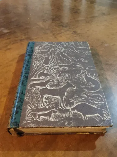 Livro Antigo Déc. 1920 - «In Heide und Wald» de Hermann Löns (Edição Ilustrada DBG)