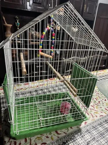 Gaiola para pássaros