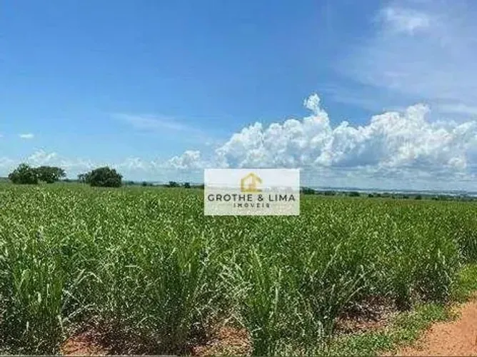 Excelente fazenda de Cana com 415 hectares à venda em Panorama-SP.