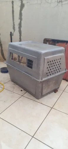 Caixa de transporte Animal - GG