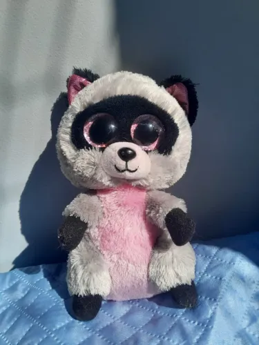 Pelúcia Ty Beanie Boo's Rocco - Guaxinim /Raccoon 15cm