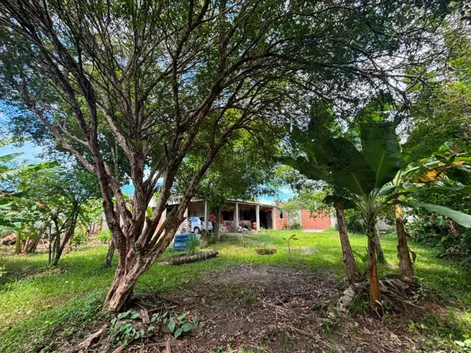 Oportunidade: Casa com Terreno de 600m² e Pomar Formado!