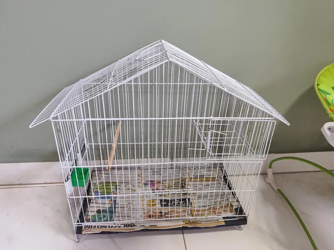 Gaiola pequenas aves