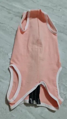 Roupa cirúrgica para gata.