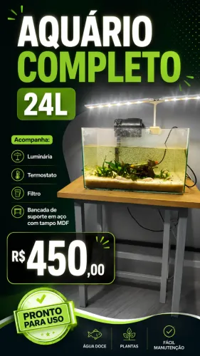 Aquário capacidade máxima 24 litros