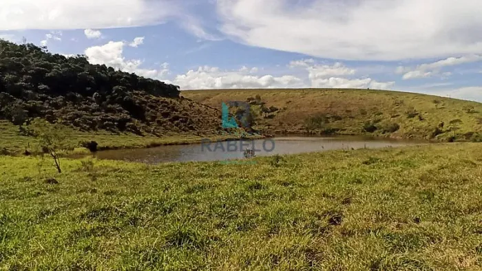 FAZENDA FORMADA PARA GADO DE CORTE E LEITE EM LORENA-SP