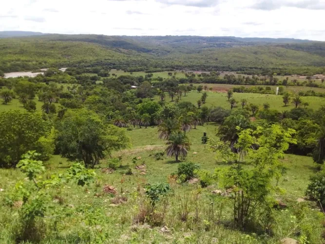 Fazenda de 41 alqueires em Ipora-Go