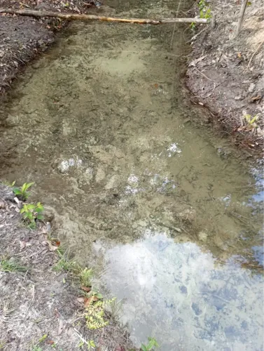 Terreno no Acará