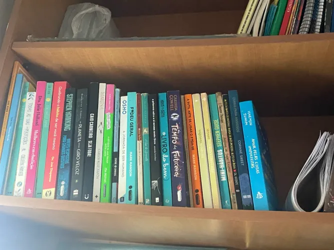 Vendo diversos livros