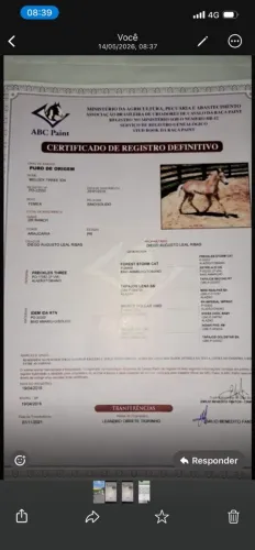 Vendo égua