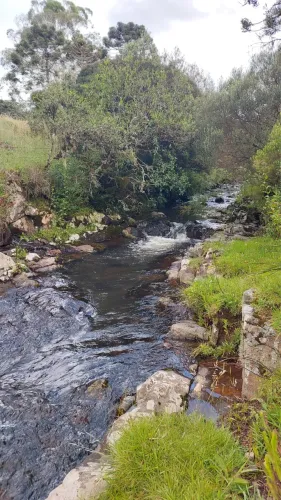 Sítio entre Urupema e Painel - 3 hectares