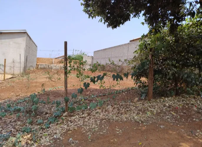 Terreno 132 m - 5,5m de frente e 25m de fundo