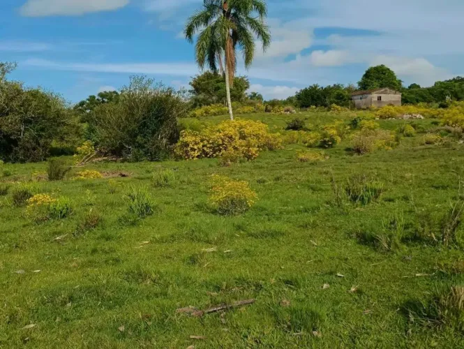 Chácara de 19 hect a venda