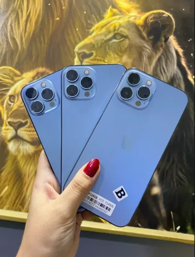 IPHONE 13 PRO MAX