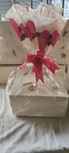 kit Lily