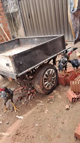 Vendo essa carrocinha pra carro