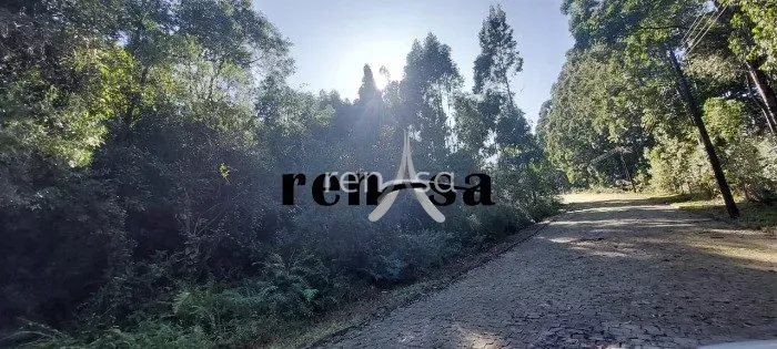 Terreno, Desvio Rizzo, Caxias do Sul