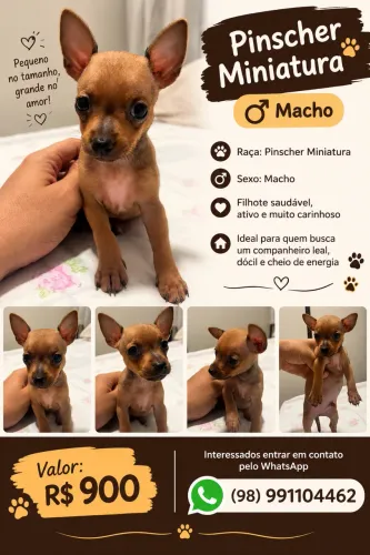 Miniatura