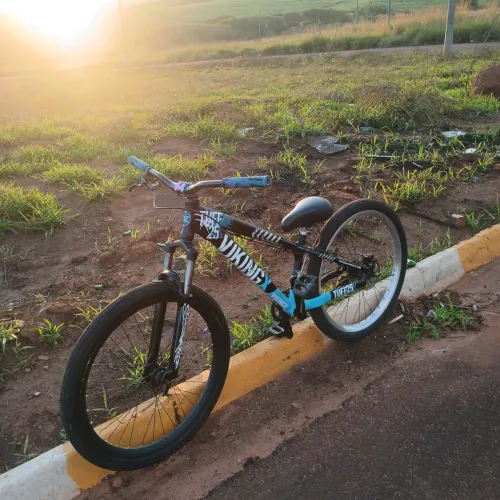 Bicicleta vikingsX