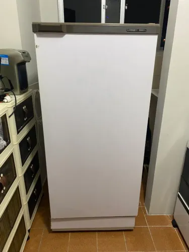 Geladeira Consul 280L 1 Porta com Freezer PRA VENDER RÁPIDO