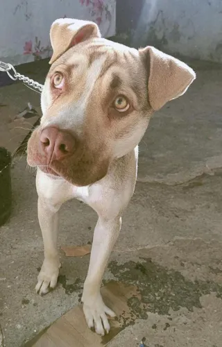 Doação